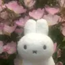 dooboo님의 프로필 사진
