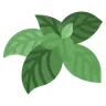 Profile picture of Basil