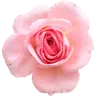 Profile picture of youplanitdigitalplanner