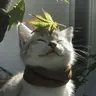 Profile picture of Riley