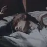 Profile picture of Markkuu