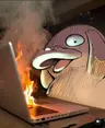 Imagen de perfil de Sam