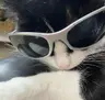 Profile picture of izzy