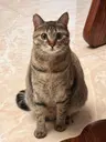 SW的个人资料图片
