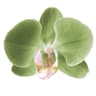 Profile picture of niraj dagar