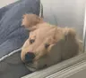 hyell_t님의 프로필 사진