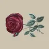 Profile picture of Thorn Templates